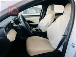 بی وای دی Qin Plus